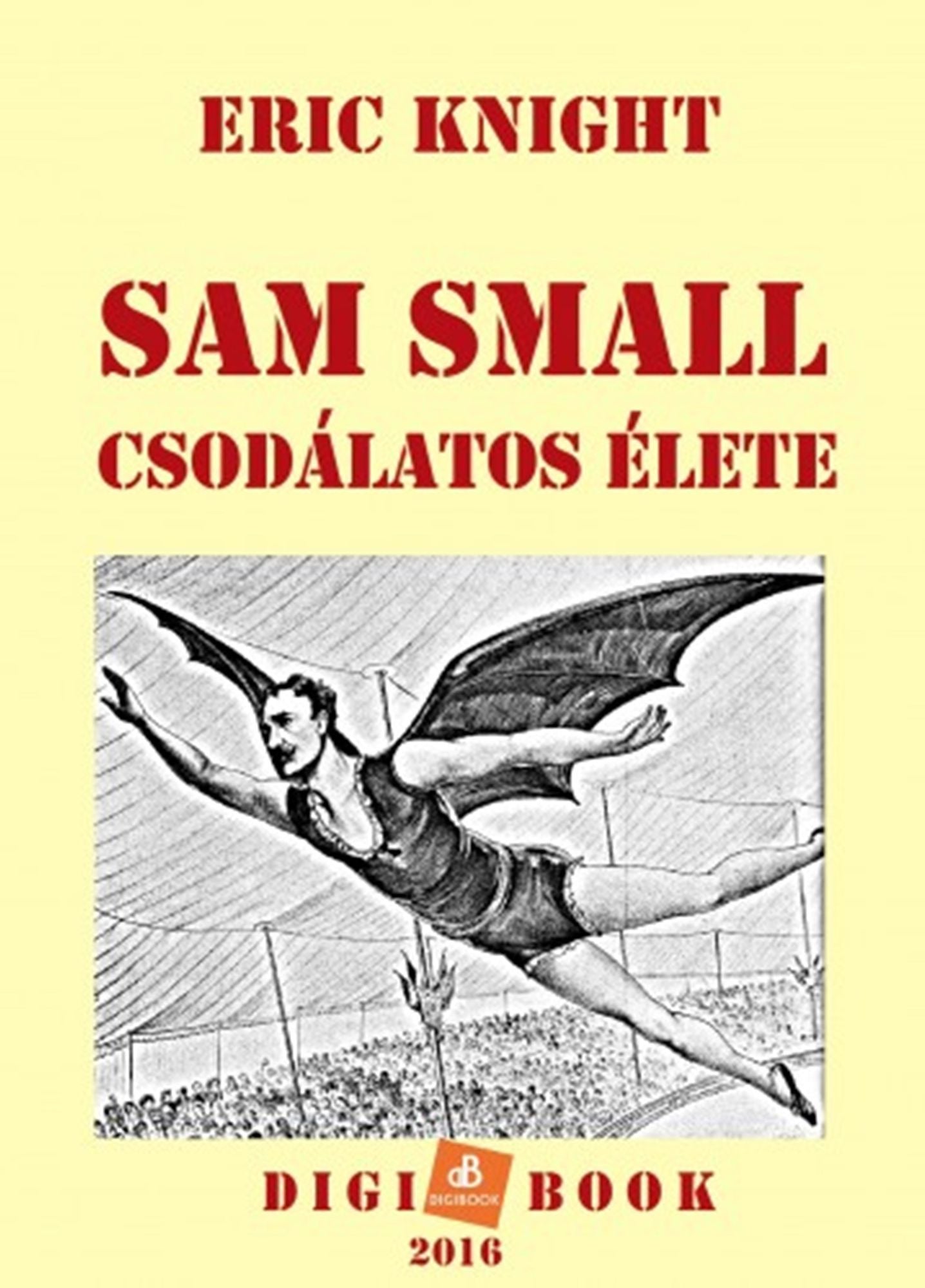 Sam Small csodálatos élete