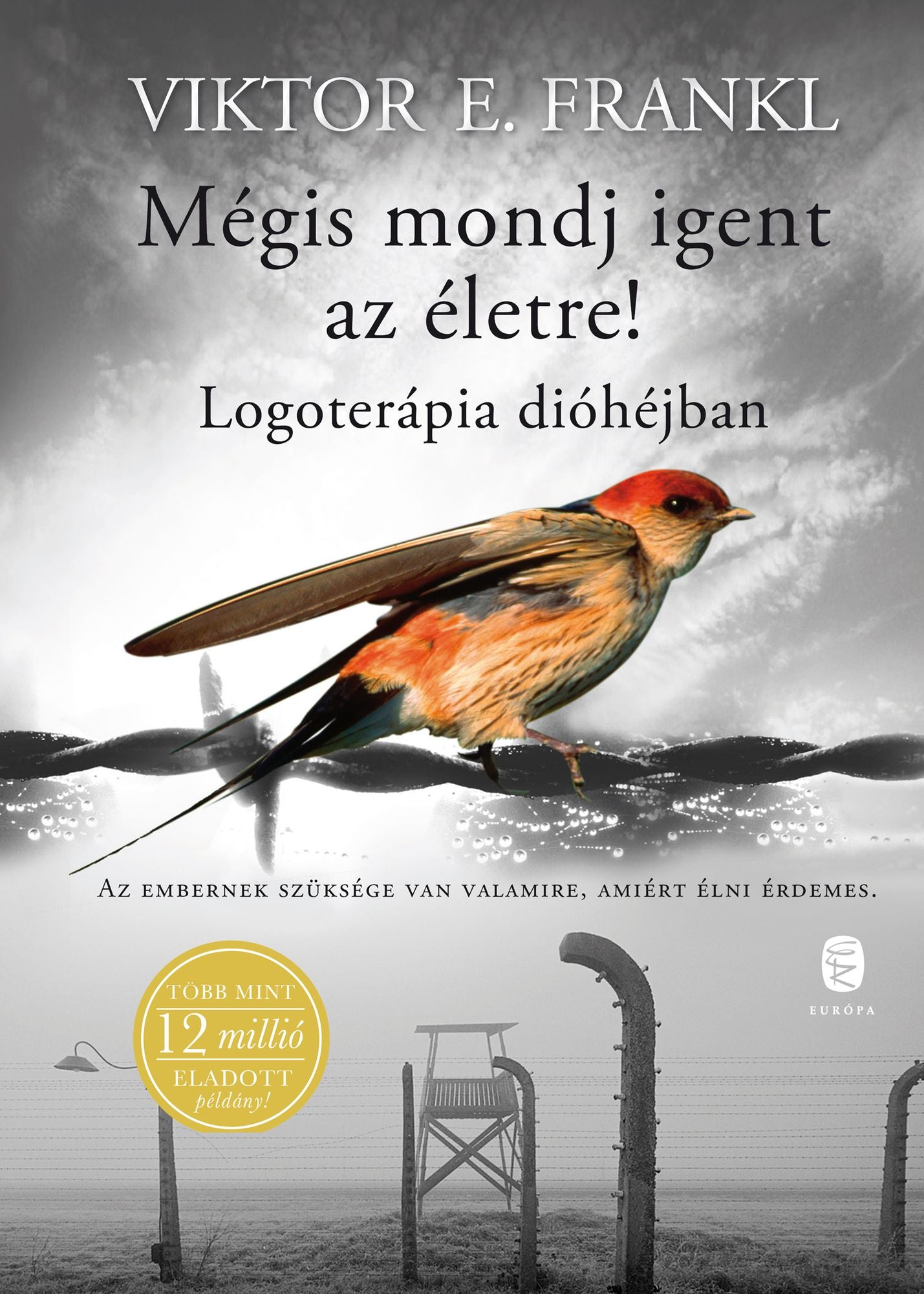 Mégis mondj igent az életre!: Logoterápia dióhéjban