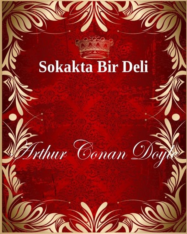 Sokakta Bir Deli