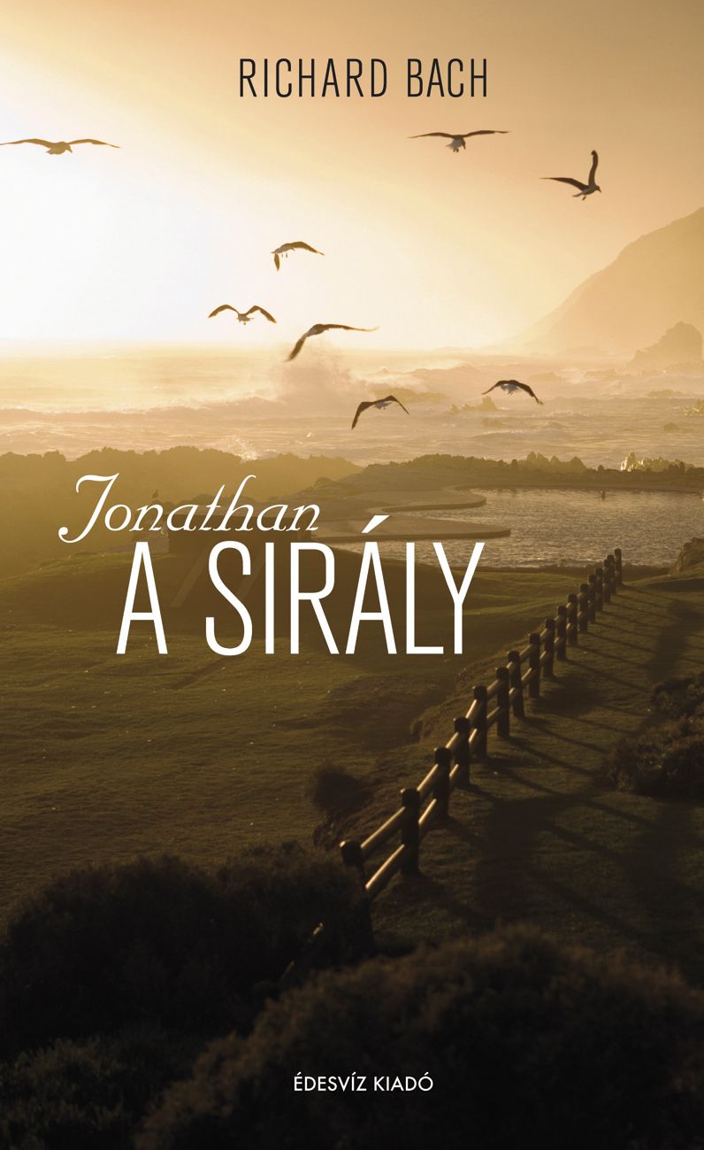 A sirály