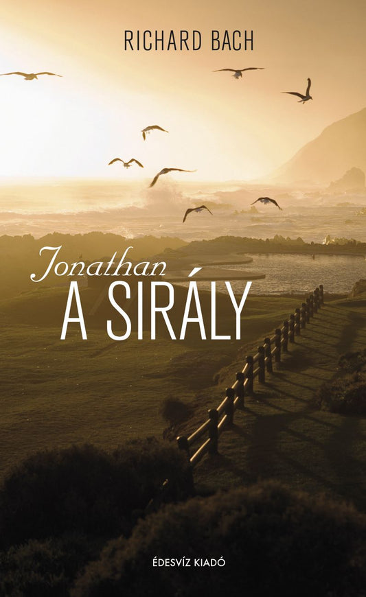 A sirály