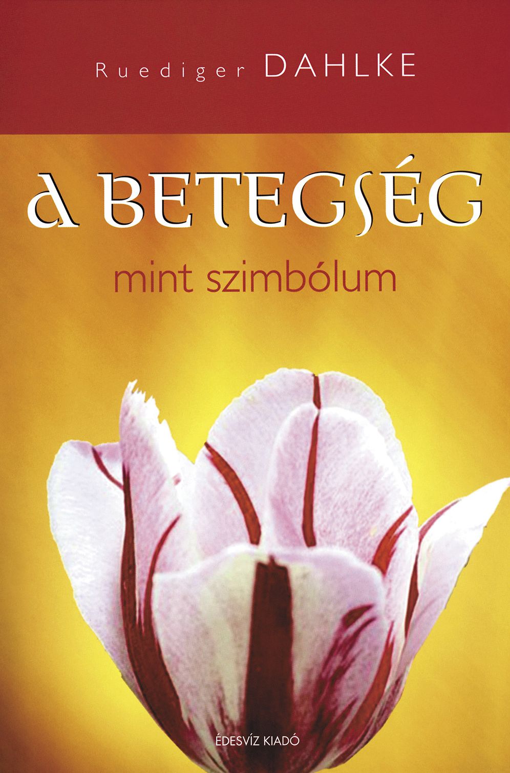 A betegség, mint szimbólum