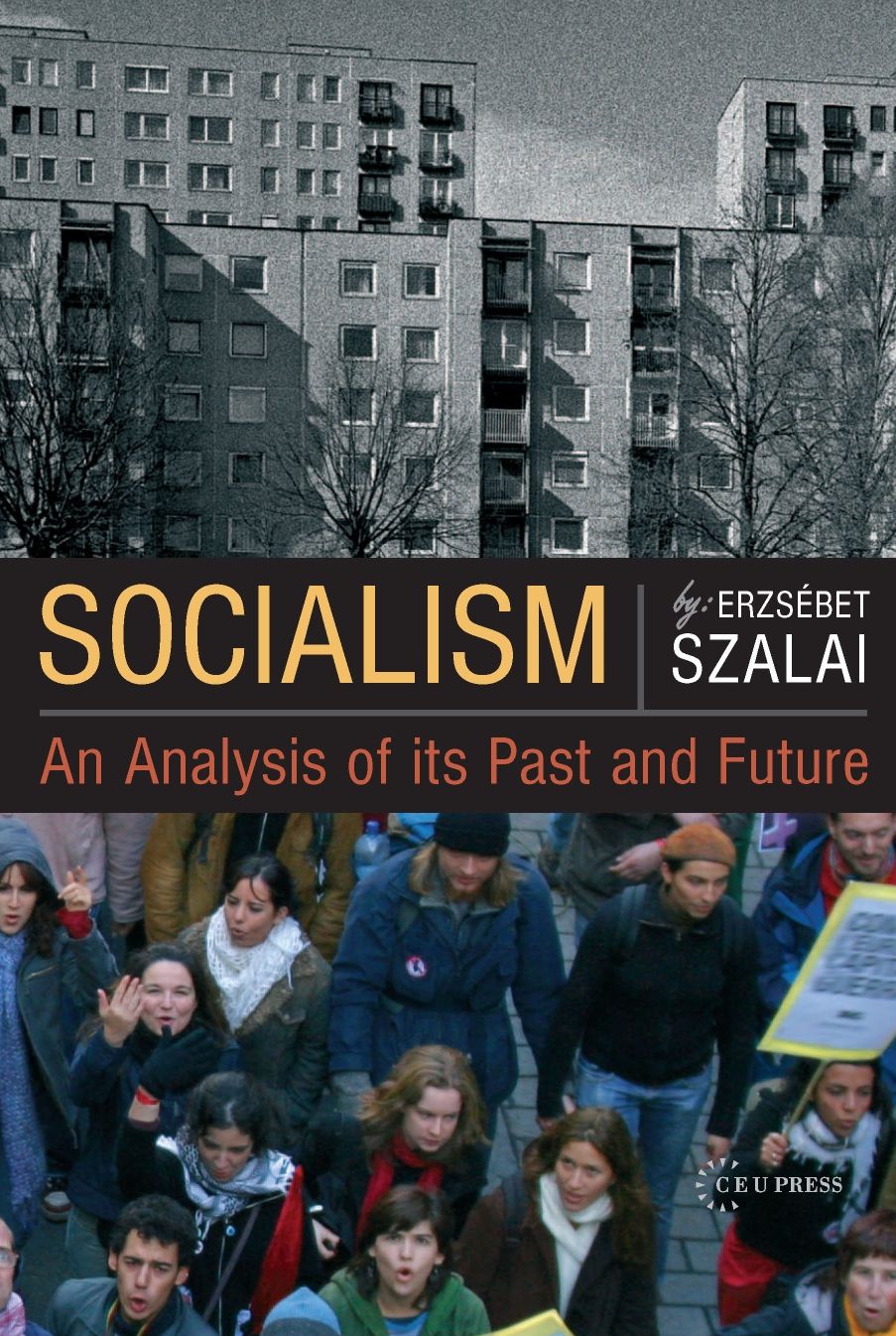 Socialism: An Analysis of Its past and Future