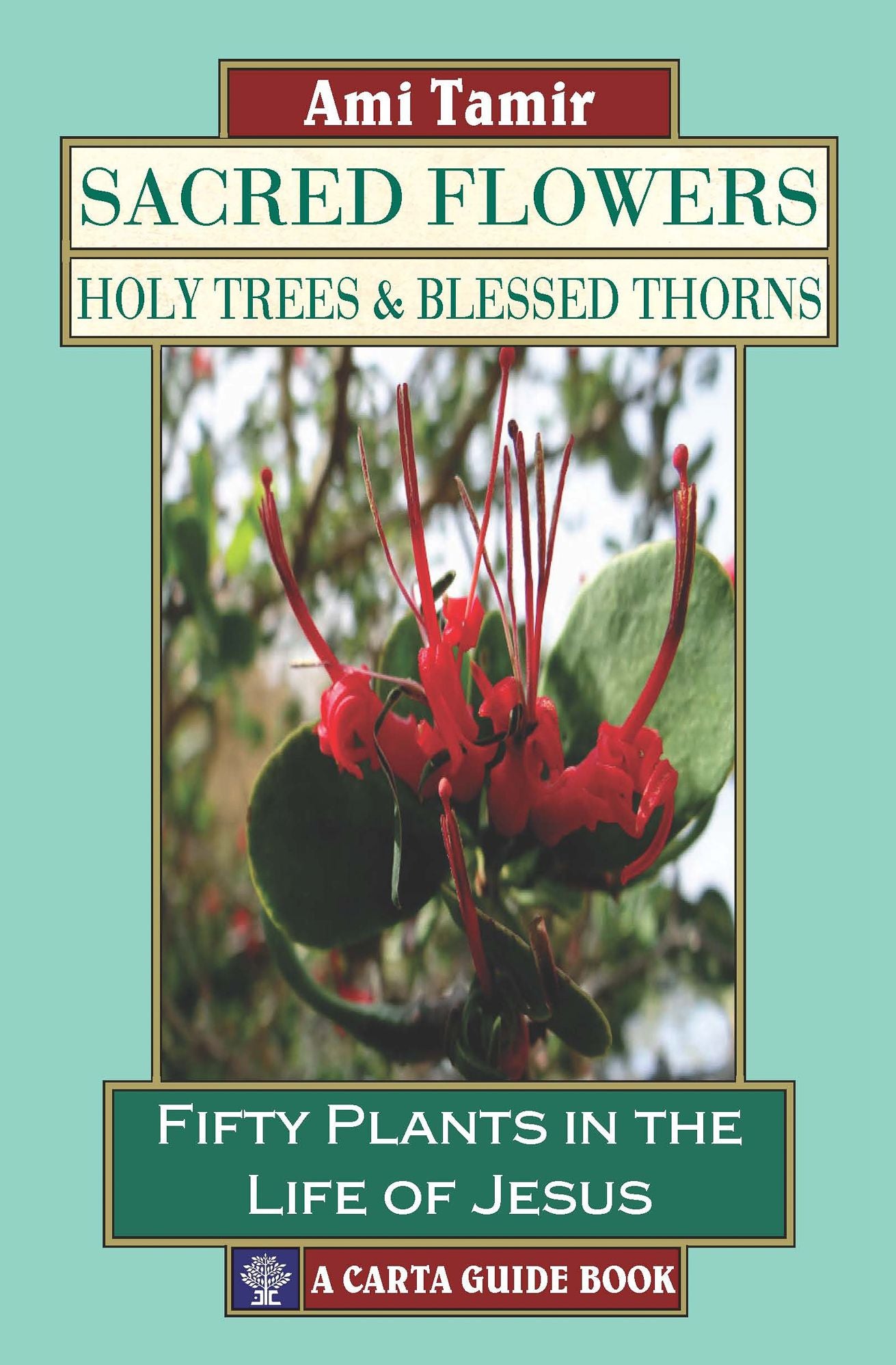 Sacred Flowers, Holy Trees, & Blessed Thorns: Fifty Plants in the Life of Jesus