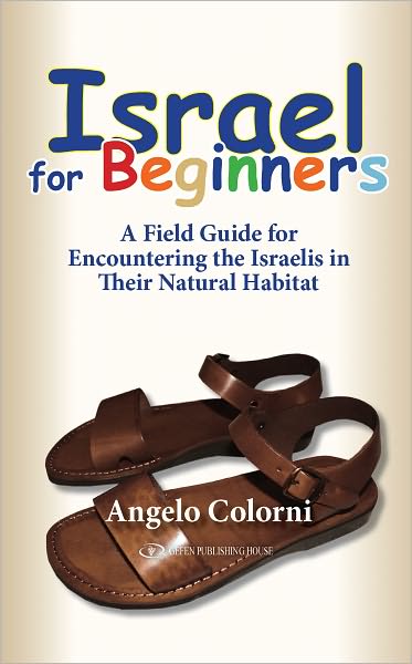 Israel for Beginners