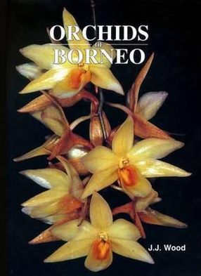 Orchids of Borneo Volume 3: Dendrobium, Dendrochilum and others