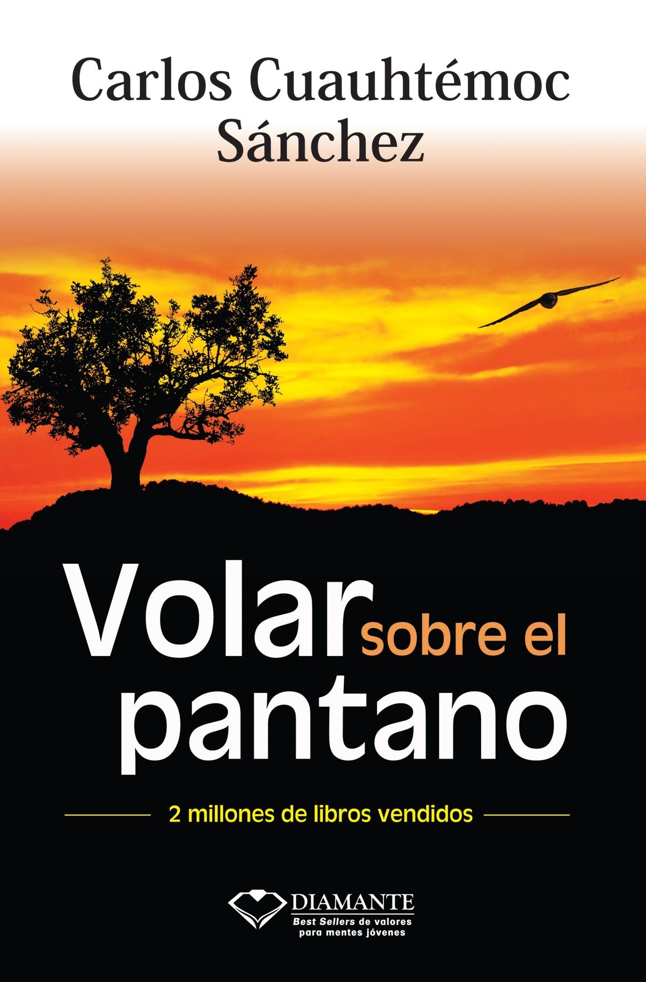 Volar Sobre El Pantano: Novela de valores para superar la adversidad y triunfar (Fly over the swamp: Overcoming Adversity)