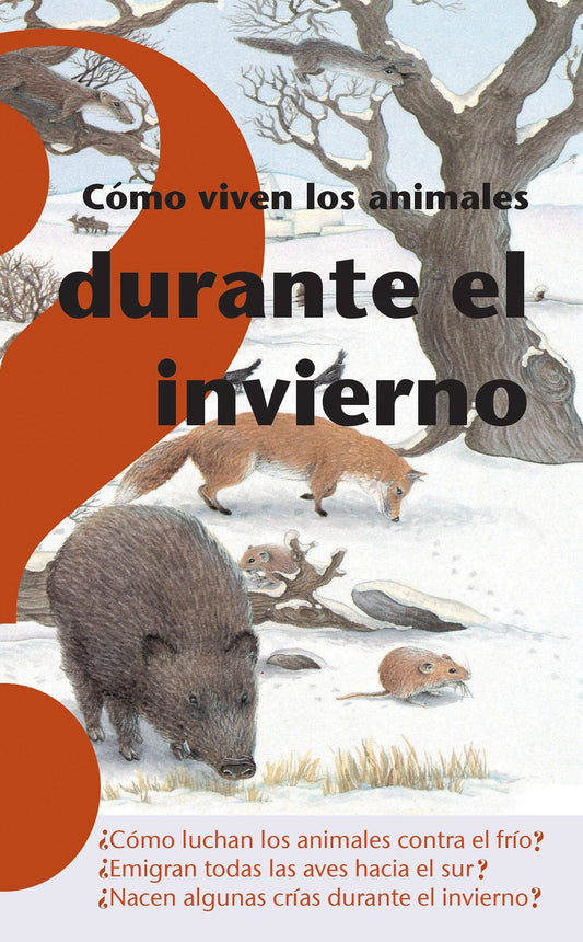 Cómo viven los animales durante el invierno / How Animals Live in Winter