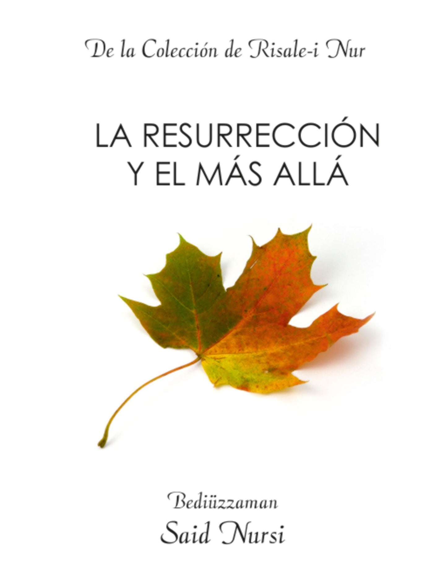 La resurrección y el más allá