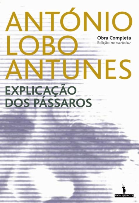 Explicação dos Pássaros