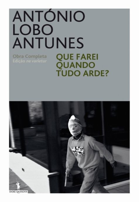 Que Farei quando tudo Arde?