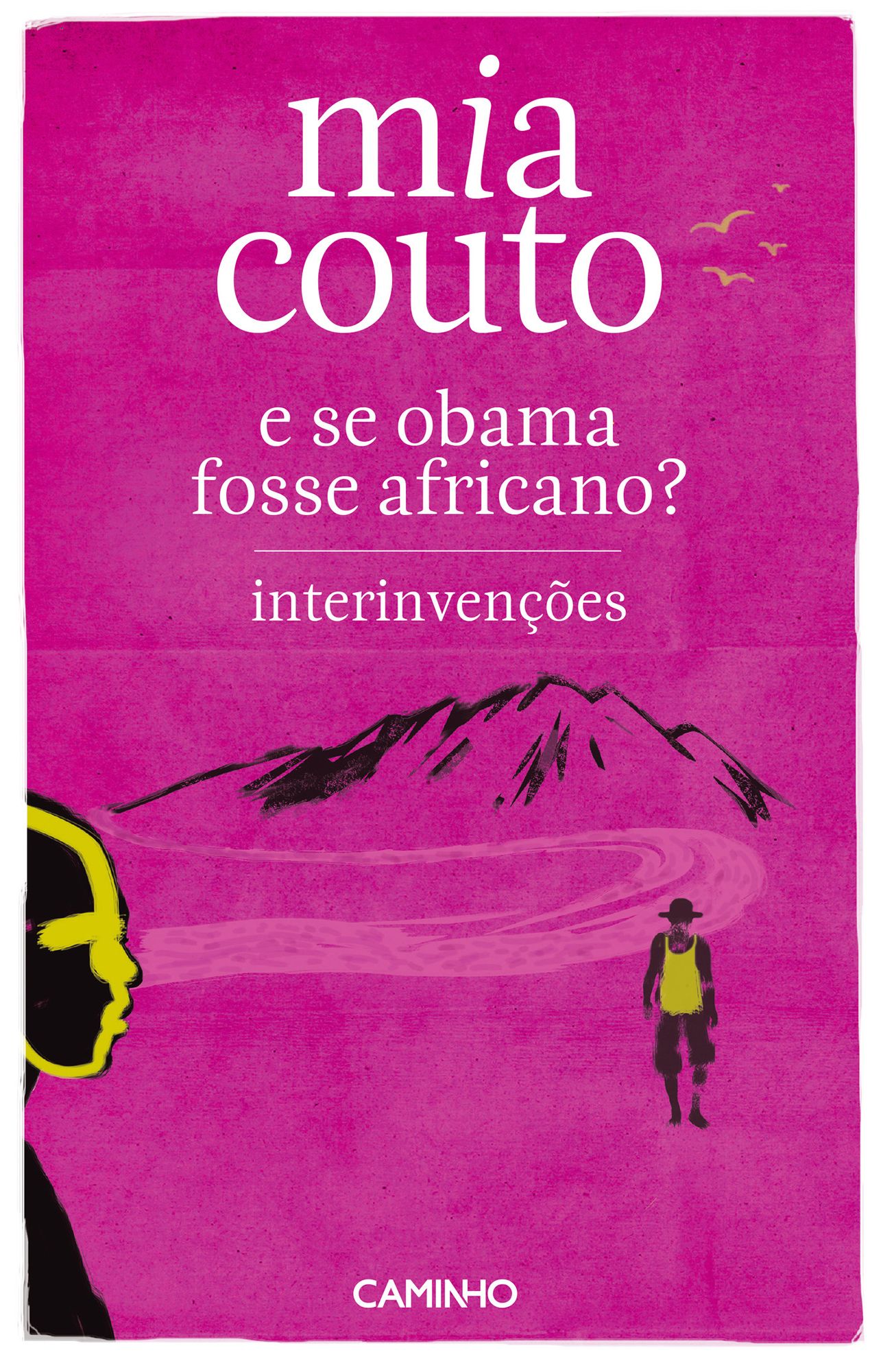 Interinvenções