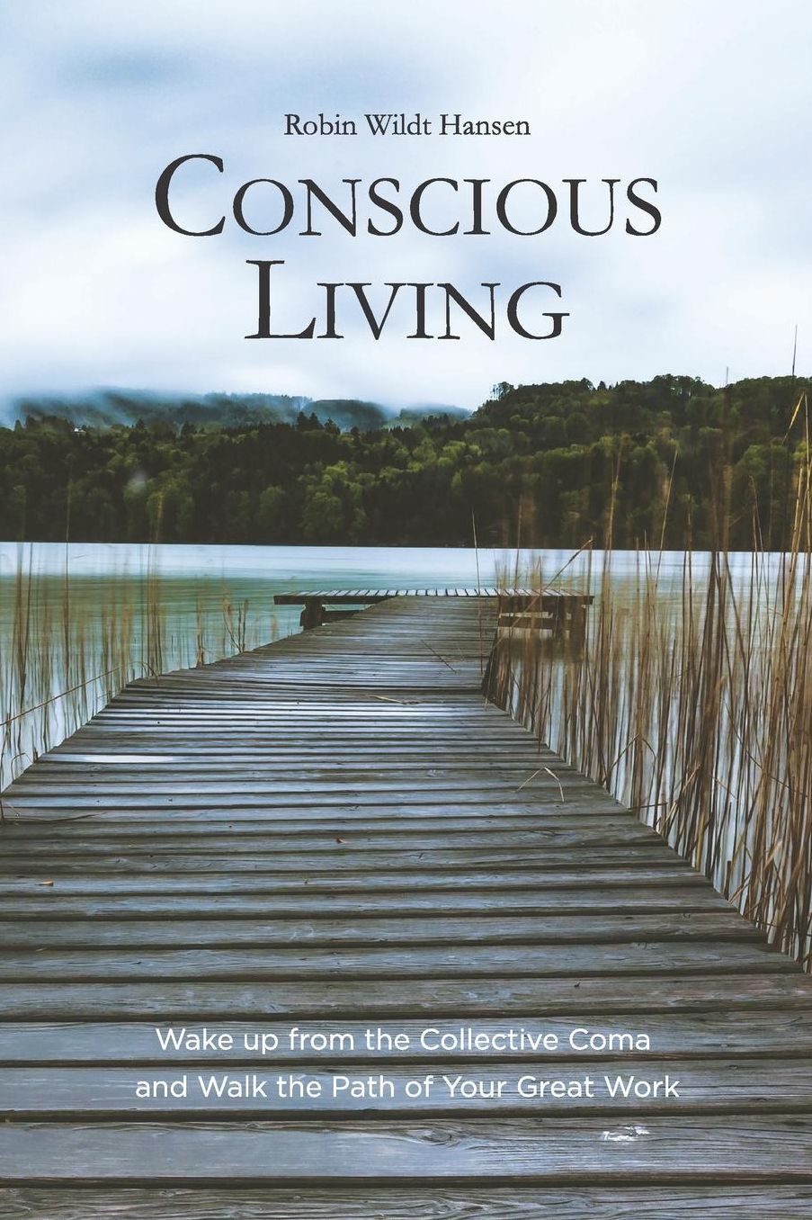 Conscious Living: Wake up from the Collective Coma and Walk the Path of Your Great Work