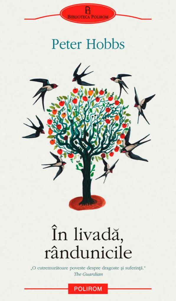In livada, rindunicile