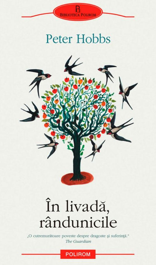 In livada, rindunicile