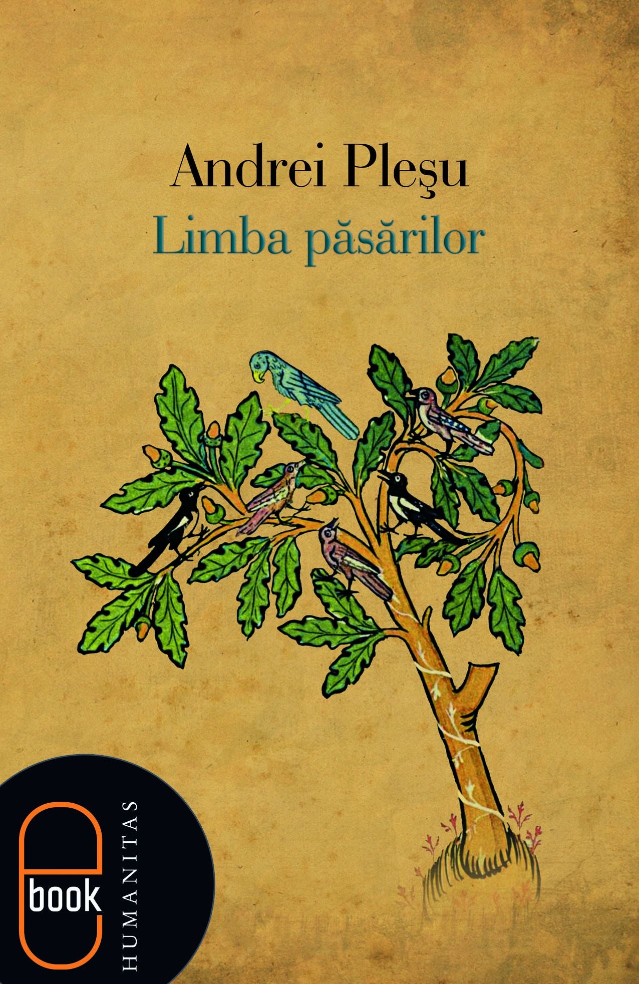 Limba pasarilor