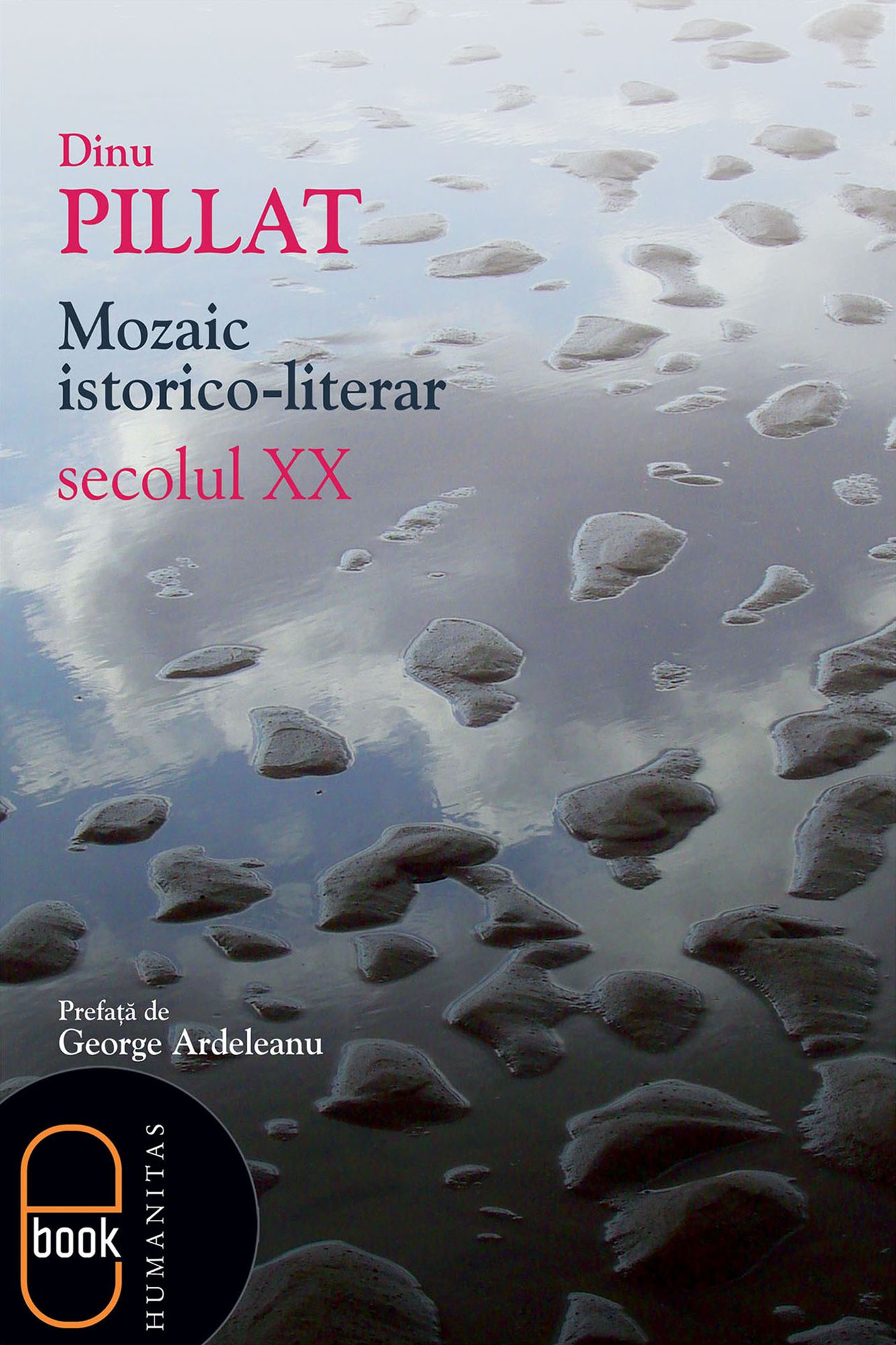 Mozaic istorico-literar. Secolul XX