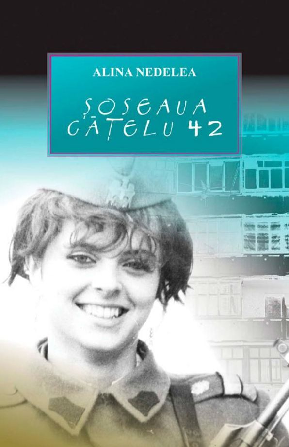 Soseaua Catelu 42