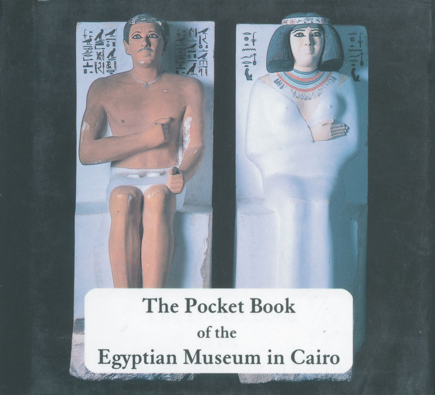 The Pocket Book of Tutankhamun: The Egyptian Museum in Cairo