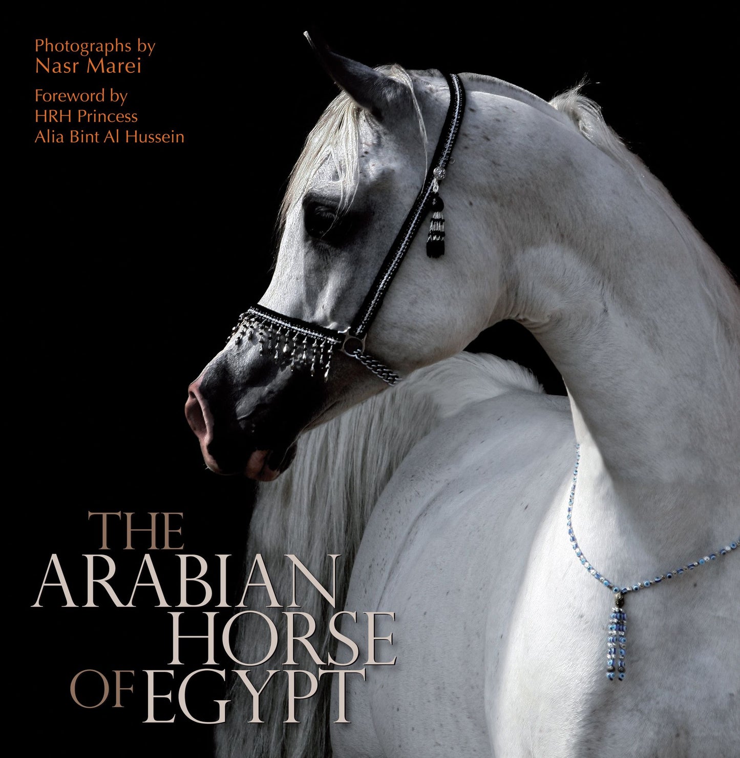 The Arabian Horse of Egypt