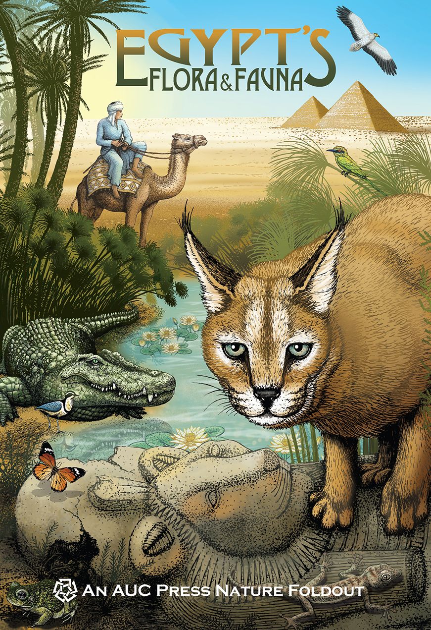 Egypt's Flora and Fauna: An AUC Press Nature Foldout