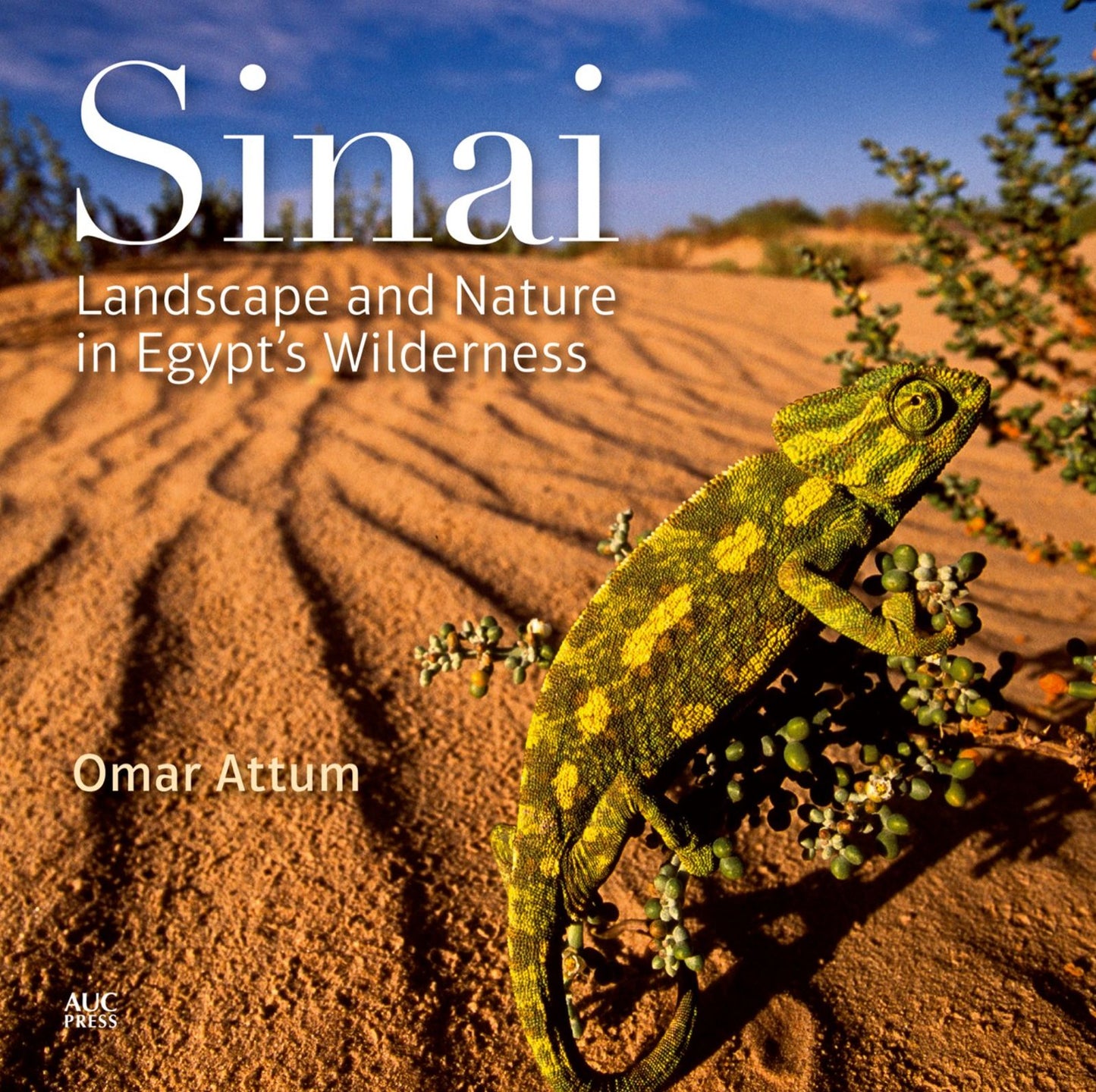 Sinai: Landscape and Nature in Egyptas Wilderness