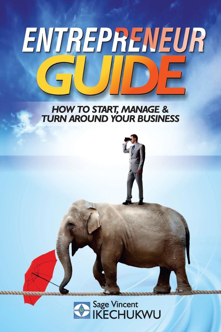 Entrepreneur Guide: How to Start, Manage and Turn-Around Your Business