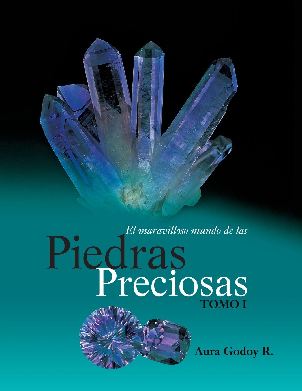 El Maravilloso Mundo de Las Piedras Preciosas Tomo I