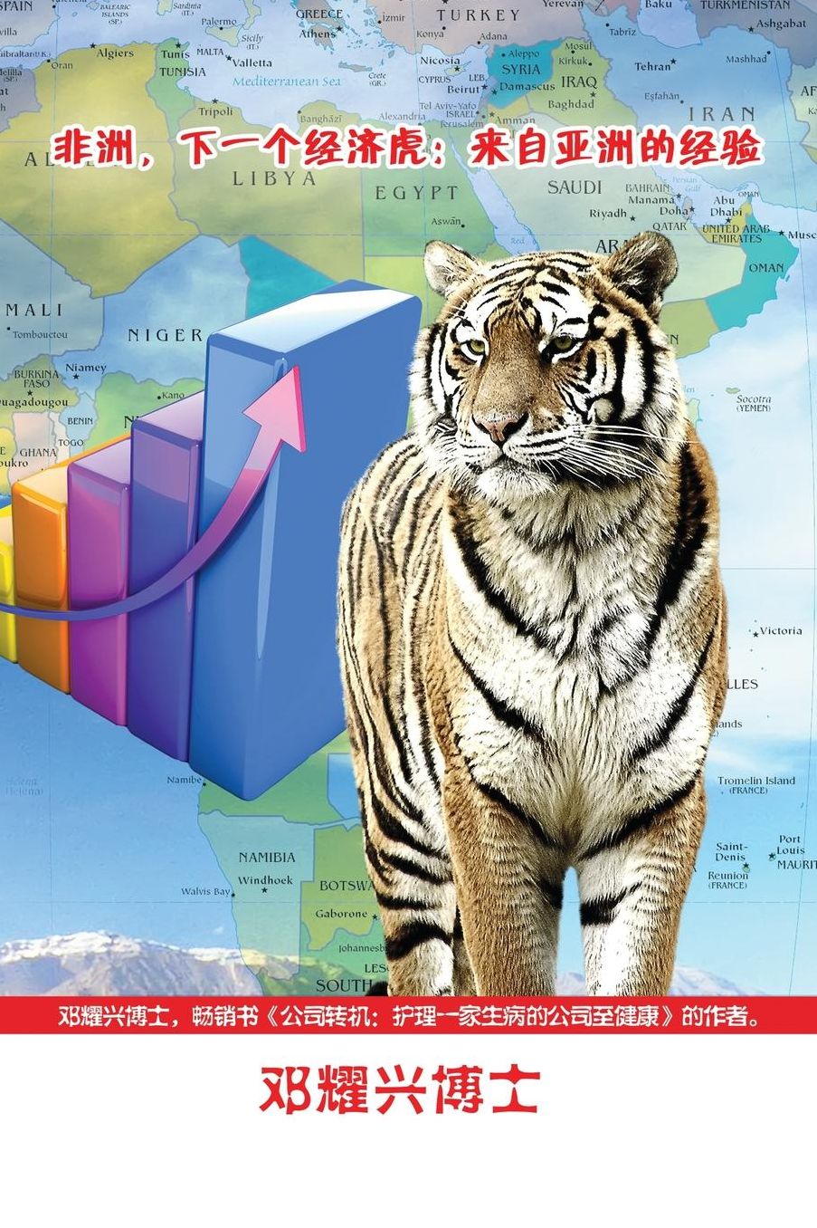 Africa, The Next Economic Tiger: Lessons From Asia (Mandarin)