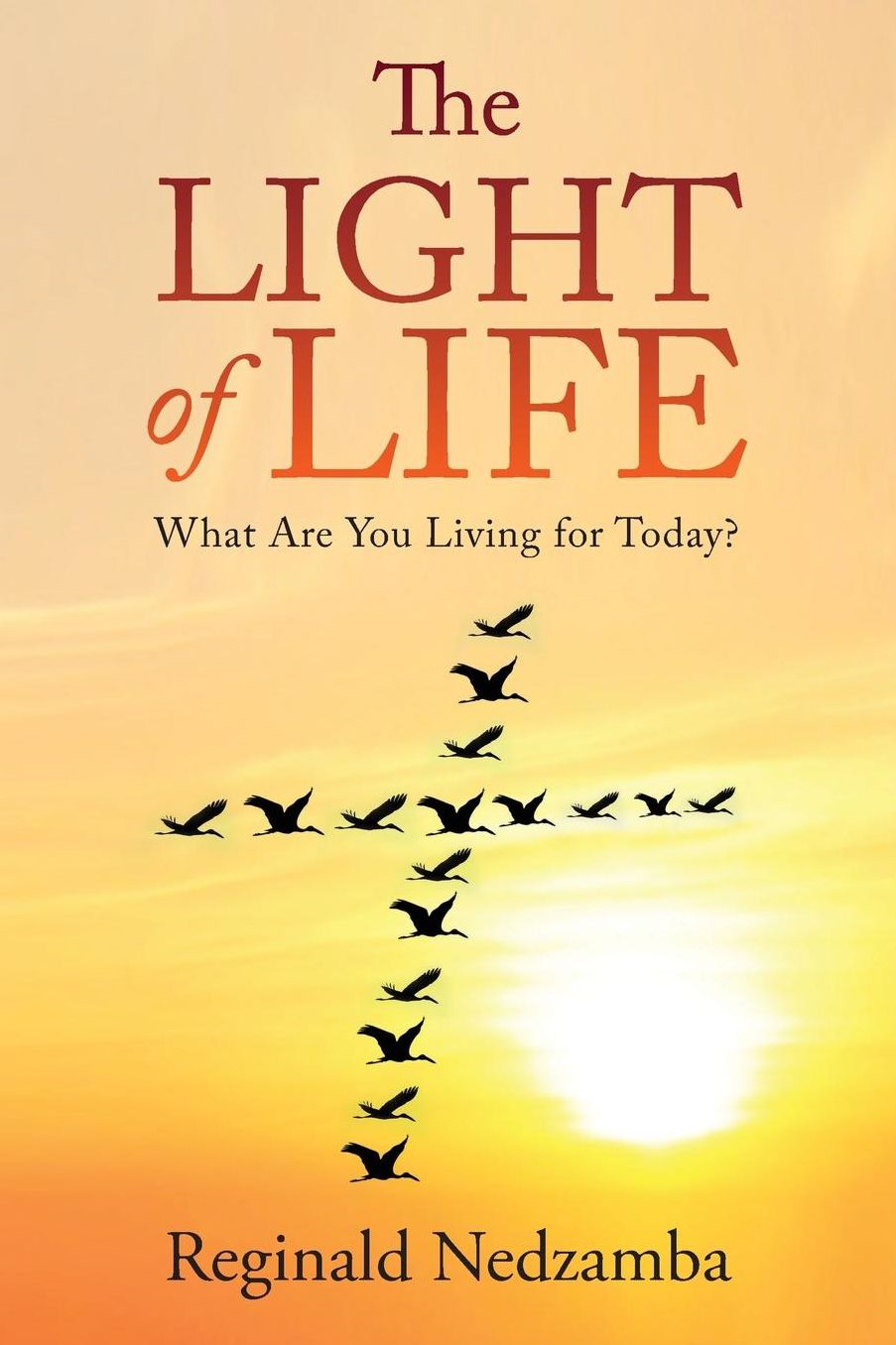 The Light of Life: What Are You Living for Today?