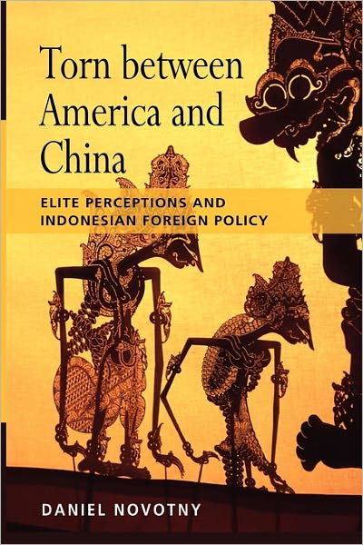Torn Between America And China