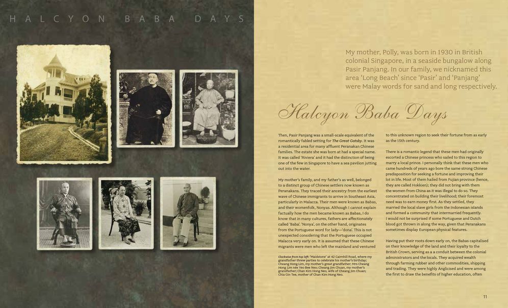 Growing Up In A Nonya Kitchen: Singapore Recipes from my Mother