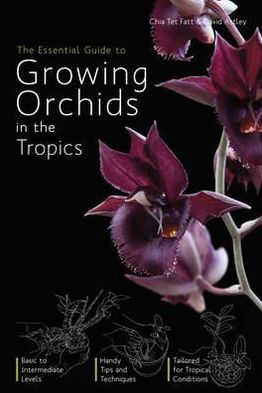 The Essential Guide to Growing Orchids in the Tropics