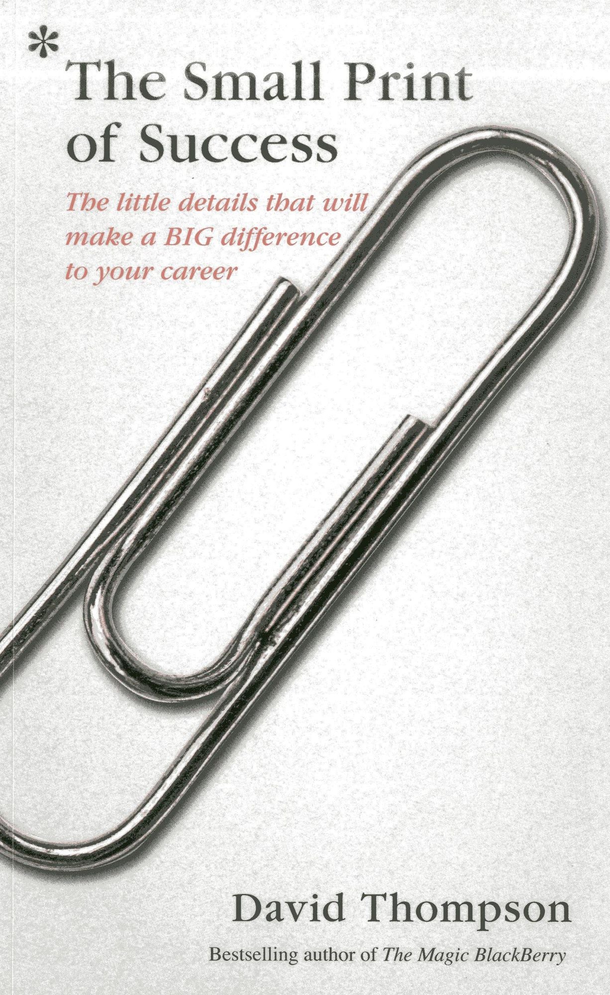 The Small Print of Success: The Little Details that Will Make a Big Difference to Your Career