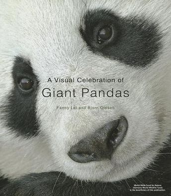 A Visual Celebration of Giant Pandas