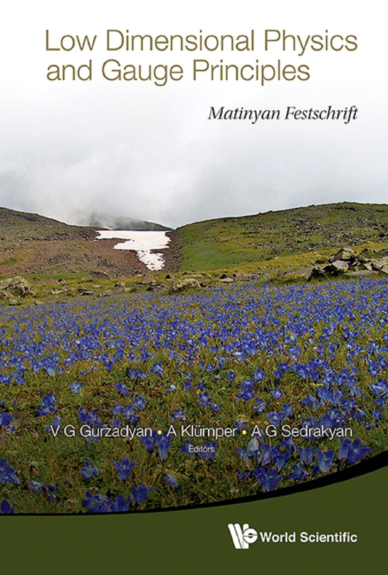 Low Dimensional Physics And Gauge Principles: Matinyan's Festschrift: Matinyan's Festschrift