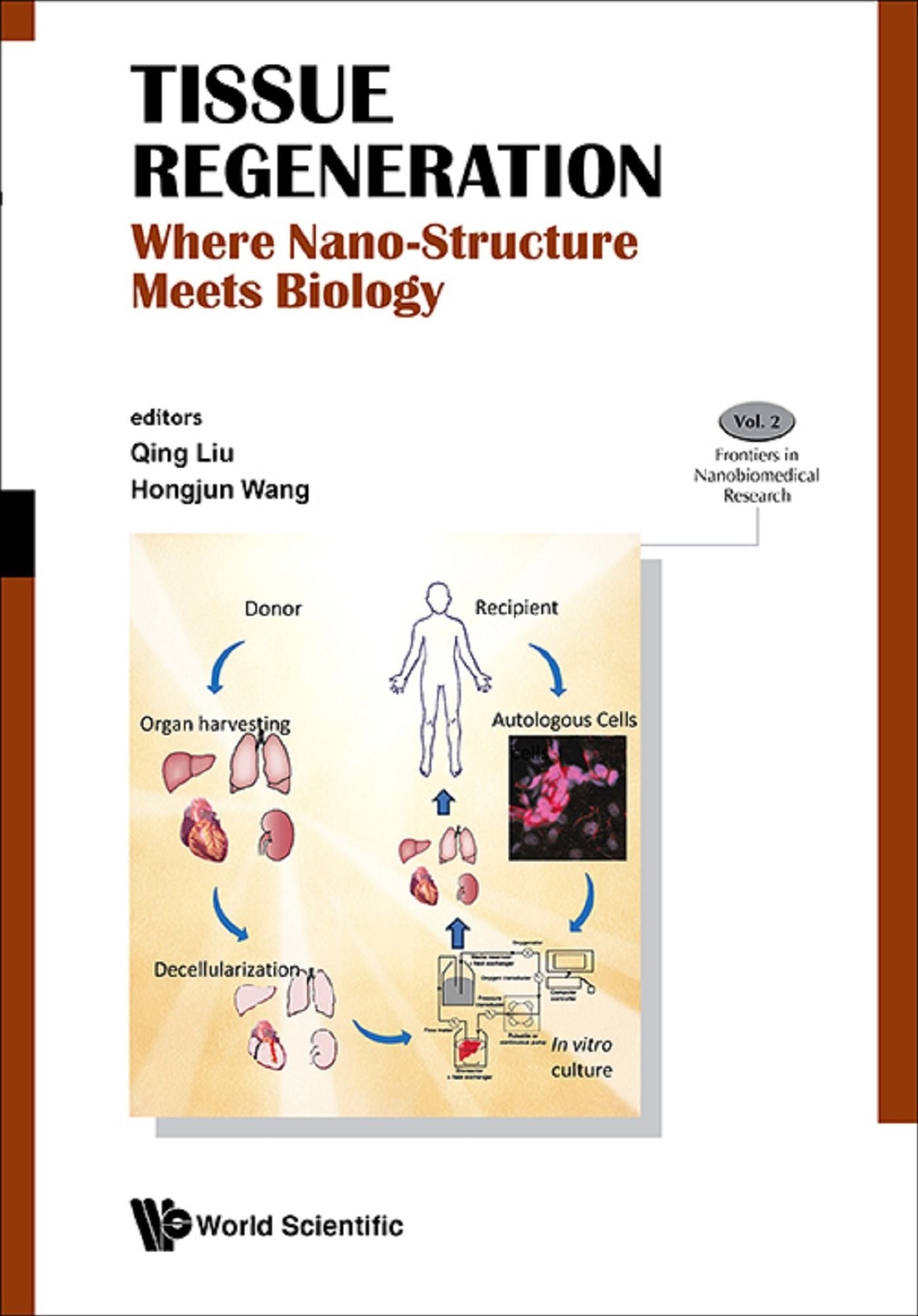 Tissue Regeneration: Where Nano-structure Meets Biology: Where Nano-Structure Meets Biology
