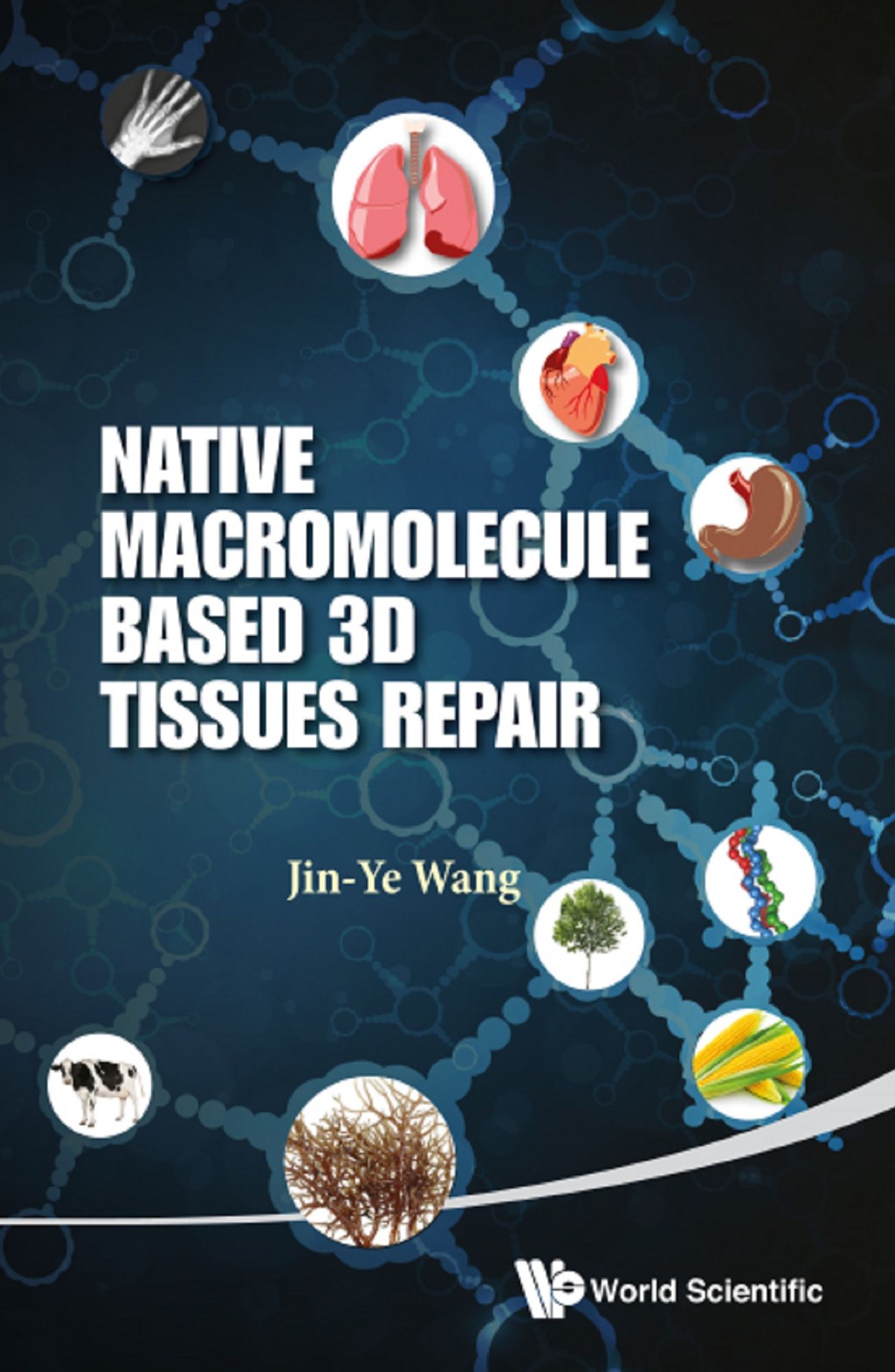 Native Macromolecule-based 3d Tissues Repair