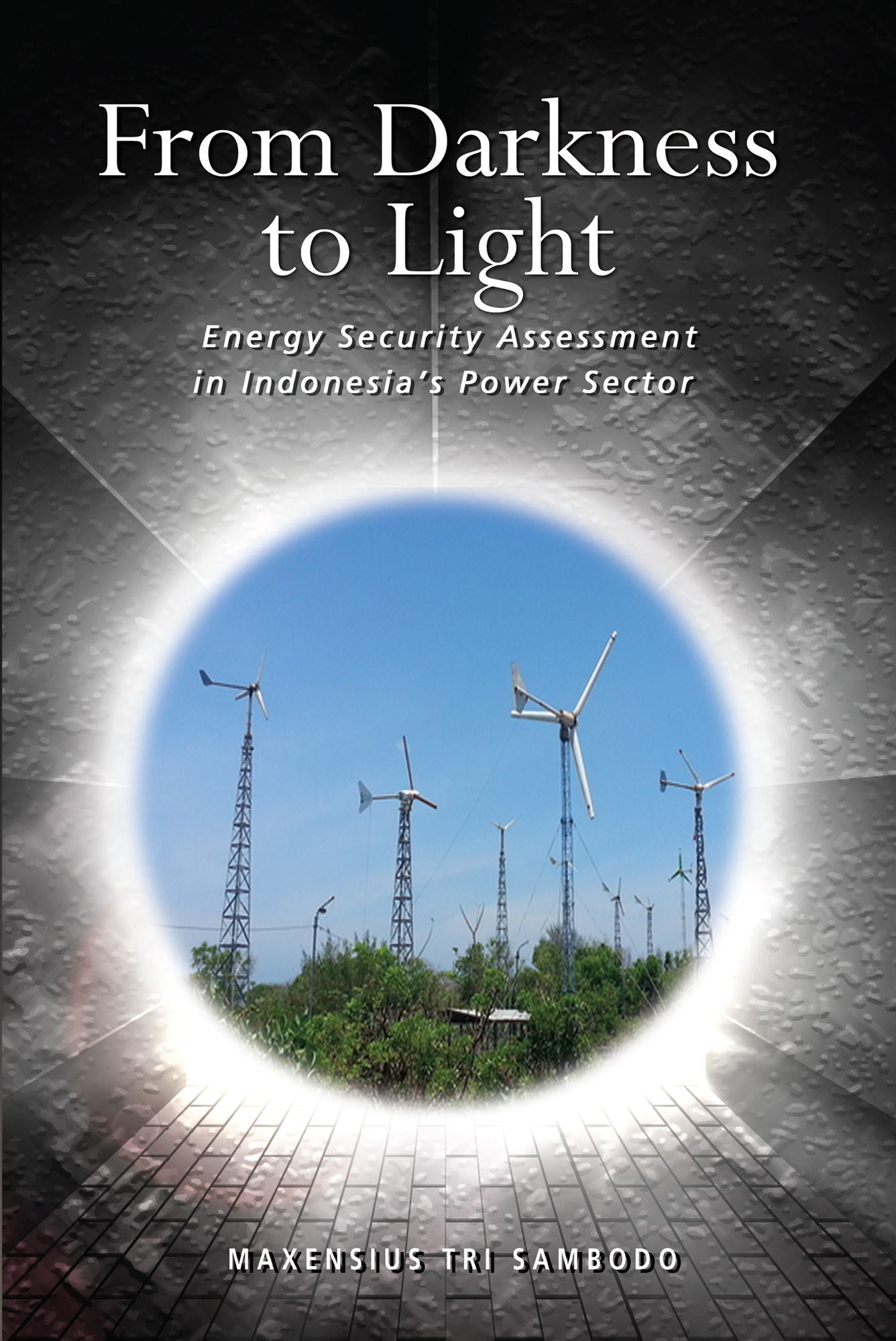 From Darkness to Light: Energy Security Assessment in Indonesia's Power Sector
