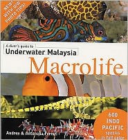 A Diver's Guide to Underwater Malaysia Macrolife