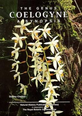 Genus Coelogyne