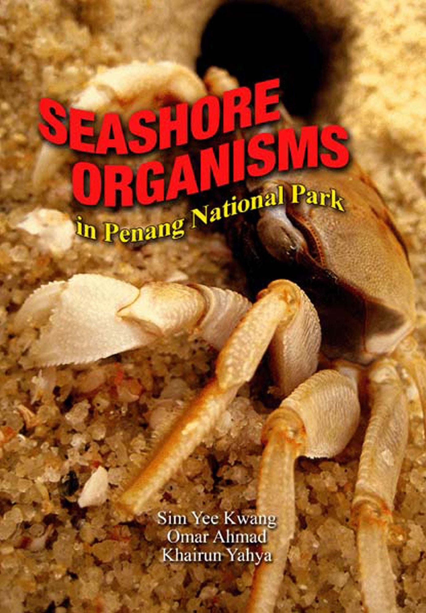 Seashore Organism in Penang National Park