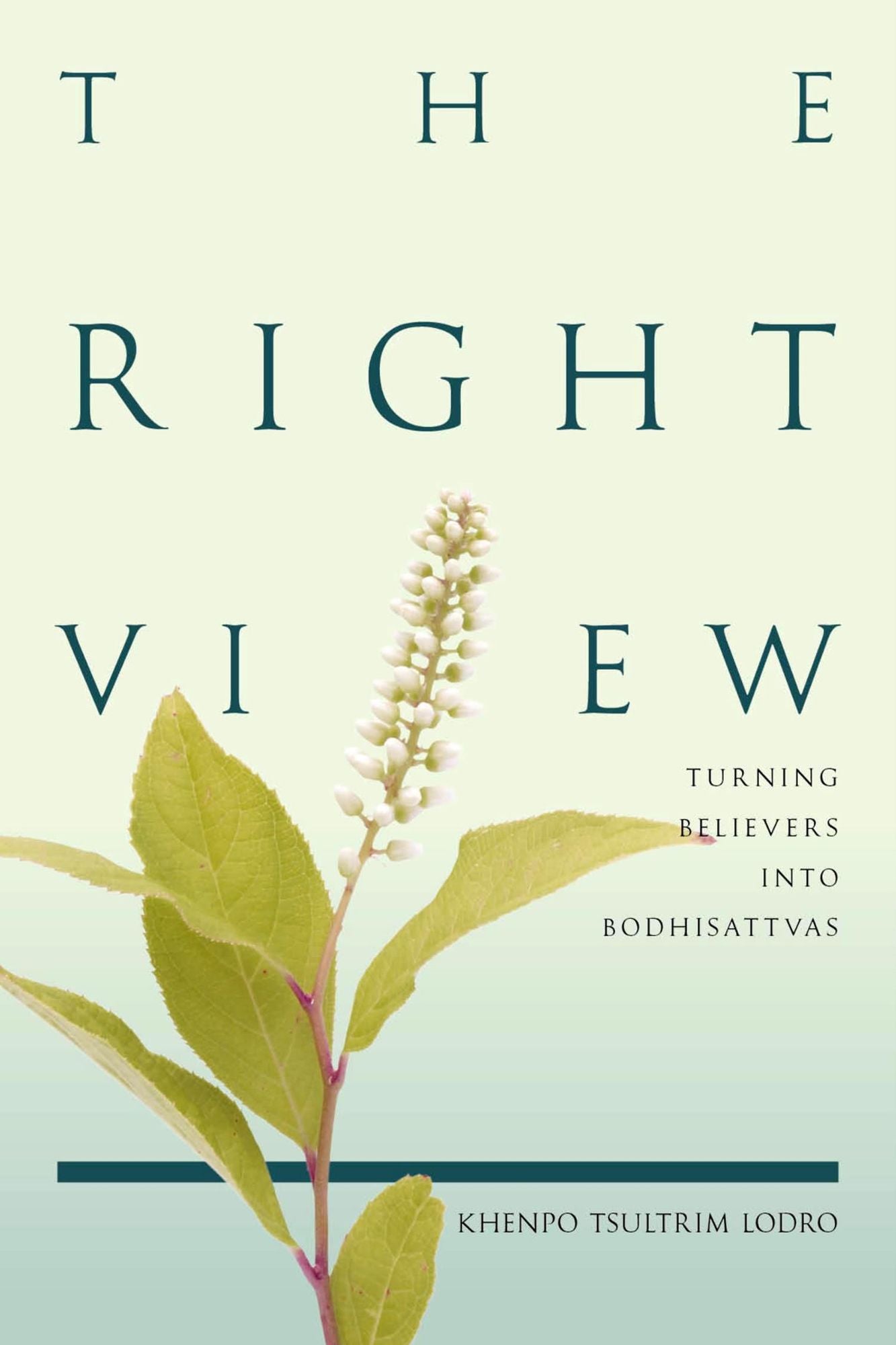 The Right View: Turning Believers into Bodhisattvas