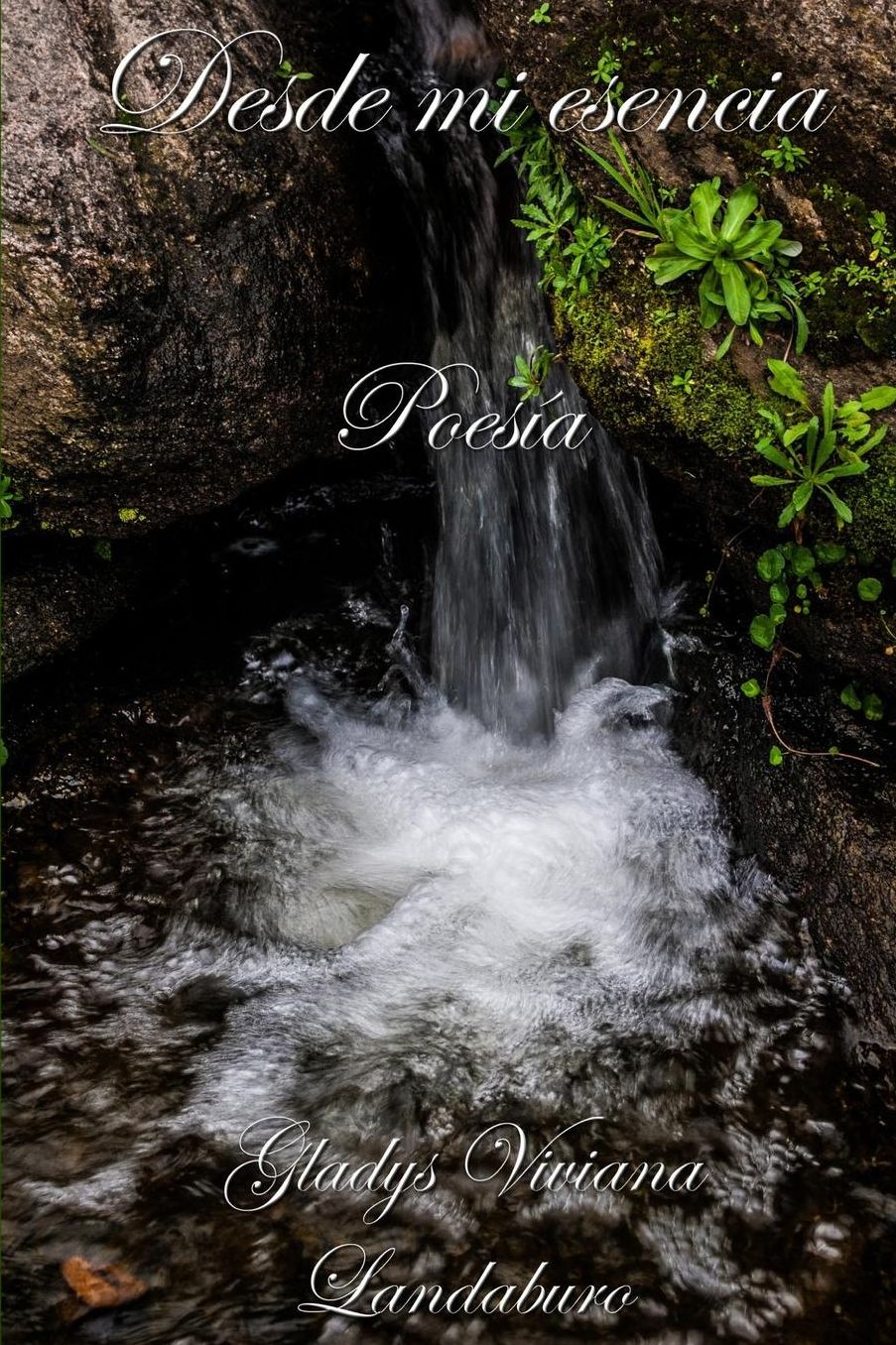 Desde mi esencia: Poesía