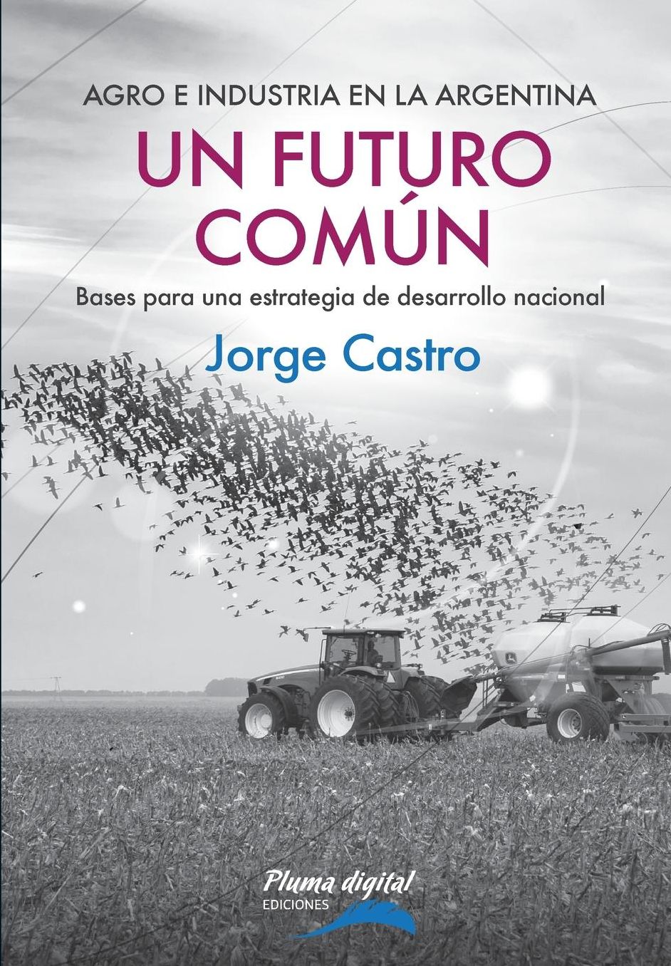 Un Futuro Comun: Bases para una estrategia de desarrollo nacional