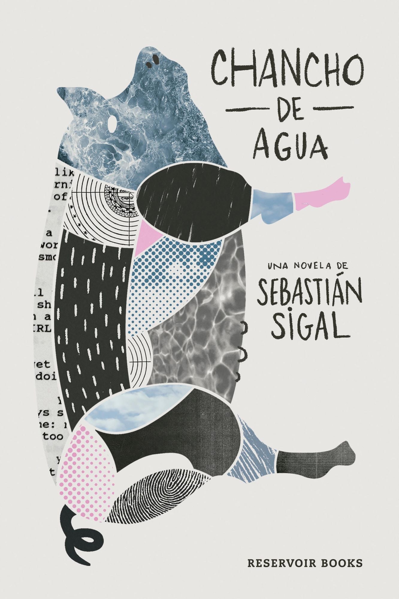 Chancho de Agua