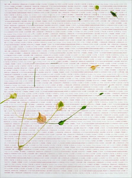Wei Jia: 2004-2008