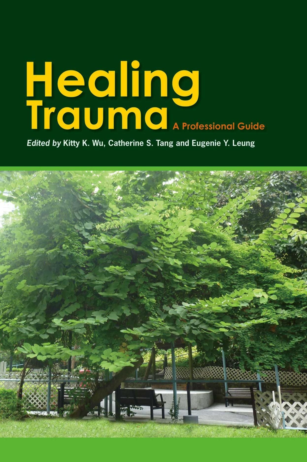 Healing Trauma: A Professional Guide