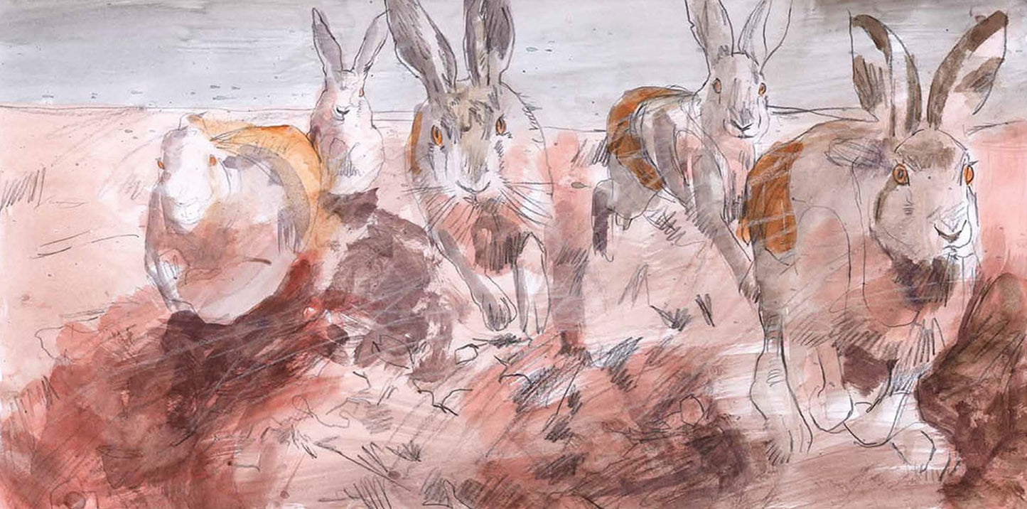 The Hare & the Hedgehog