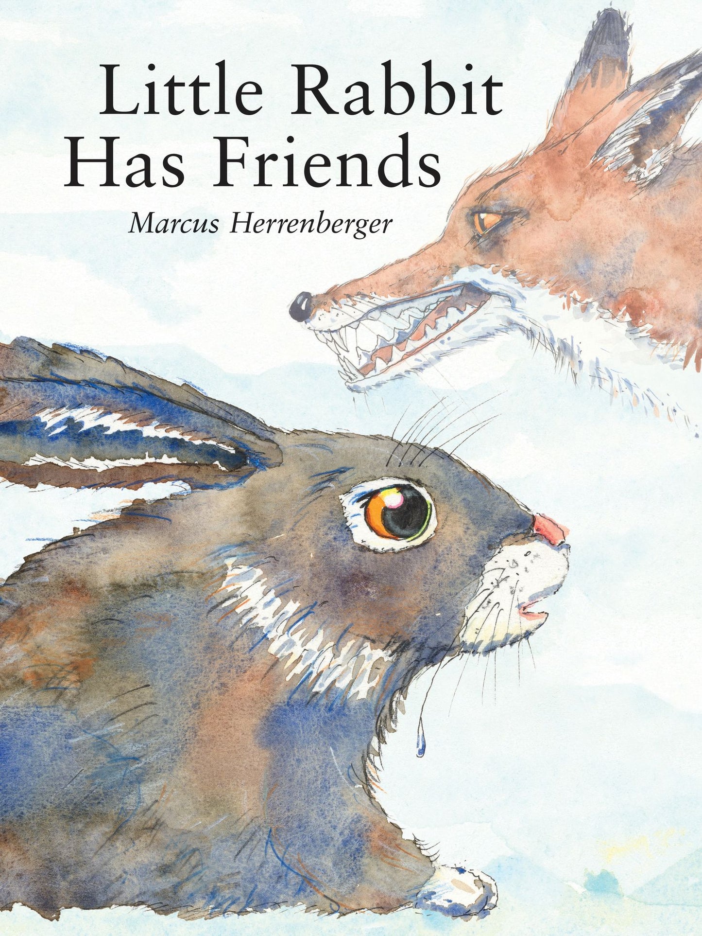 The Little Rabbit Has Friends